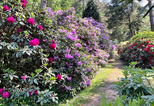 23-06-03 16-47-55 5799